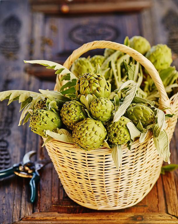 阿拉恰特 L'Olivier旅馆 外观 照片